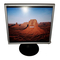 Monitore Fujitsu SIEMENS COMPUTERS L19-2SD Handbuch