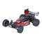 Ferngesteuerte Modelle GM-Racing Roadfighter Buggy Bedienungsanleitung