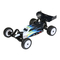 Horizon Hobby Losi MINI-B