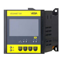 Vega VEGAMET 391 Betriebsanleitung