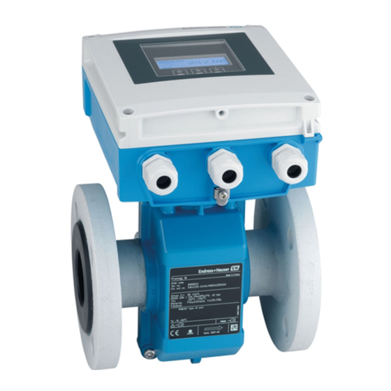 Endress+Hauser Proline 400 Handbücher