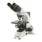 Mikroskope Optika 500 Series Bedienungsanleitung