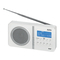 Radios AEG DAB 4138 Bedienungsanleitung