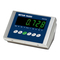 Messgeräte Mettler Toledo MultiRange IND226 serie Errichtungsanleitung