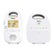 Alecto DBX-99