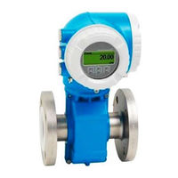 Endress+Hauser Promass 300 Einbauanleitung