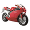Motorräder Ducati 999R Anleitung