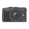 Kameras Panasonic Lumix DMC-GX1X Bedienungsanleitung