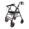Days 111 7500348 - Handbuch Bariatrischer Rollator