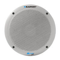 Blaupunkt IC 170 Marine Dual Cone Einbauhinweise