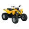 BRP Can-Am DS 70 2012
