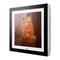LG Art Cool Gallery Serie