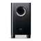 Subwoofer Pioneer S-21W Bedienungsanleitung