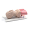 Medizinische Ausstattung laerdal Airway Management Trainer Gebrauchsanweisung