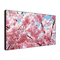 Monitore Sharp PN-V601 Bedienungsanleitung