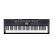 Casio CTK-1100
