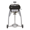 Grills OUTDOOR CHEF ASCONA 570 G Bedienungsanleitung