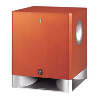 Yamaha YST-SW325 Bedienungsanleitung