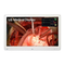 Monitore LG 27HQ710S Benutzerhandbuch