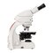 Mikroskope Leica DM750 P Handbuch