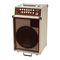 Gitarrenverstärker SWR California Blonde Bedienungsanleitung