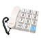 Telefone Avaya SeCom Grande Bedienungsanleitung