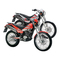 Motorräder Beta ALP 4T 125 cc Werkstatt-Handbuch
