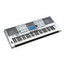 Synthesizer Yamaha PSR-E403 Bedienungsanleitung
