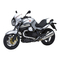 Motorräder MOTO GUZZI 1200 Sport 4V ABS Handbuch