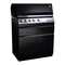 Grills Otto Wilde G32 CONNECTED Bedienungsanleitung