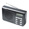 Radios Pure ONE Mi Series 2 Handbuch