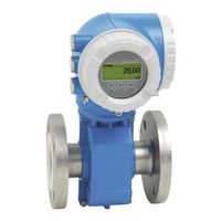 Endress+Hauser Proline Promag 300 Handbuch