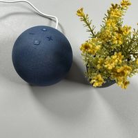Amazon Echo Dot Anleitung Artikel