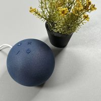 Amazon Echo Dot Anleitung Artikel