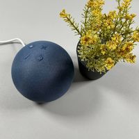 Amazon Echo Dot Anleitung Artikel