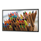 Monitore Sharp PN-E702 Bedienungsanleitung