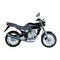 Motorräder MZ RT 125 2001 Reparaturanleitung