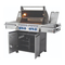 Napoleon PRO 500, PRO500RB, PRO500RSIB, PRO500RSIB-2 Handbuch
