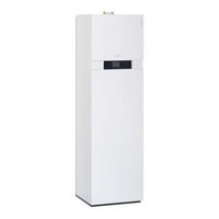 Viessmann VITODENS 343-F Serviceanleitung