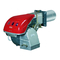 Riello RS Series, RS 190 Handbuch