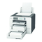 Drucker Ricoh SG K3100DN Handbuch