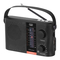 Radios Trevi RA 7F25 BT Bedienungsanleitung