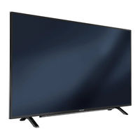 Grundig 55 GUW 8678 Bedienungsanleitung