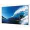 Monitore Sharp PN-V600A Bedienungsanleitung