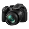 Kameras Panasonic Lumix DC-FZ10002 Bedienungsanleitung Für Erweiterte Funktionen