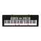 Casio LK-136