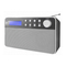 Radios Dual DAB 36 Bedienungsanleitung
