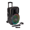 Lautsprecher-Systeme Party Light & Sound PARTY-15RGB Bedienungsanleitung