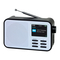 Radios Terris DR 203 Bedienungsanleitung