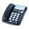 VOIP Telefone Grandstream BudgeTone-101 Bedienungsanleitung